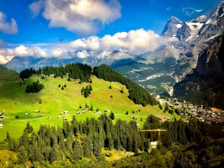 town in mountain with green trees