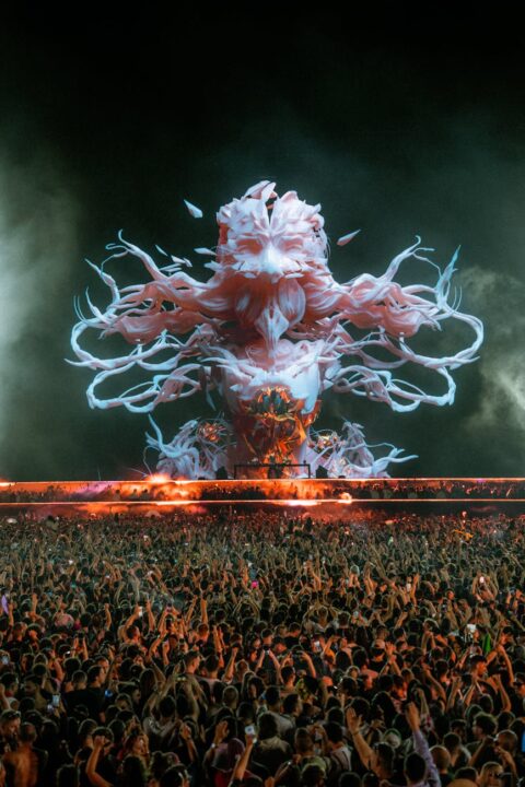 crowd at the concert at night